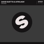 David Guetta & Afrojack - Raving (Extended Mix)