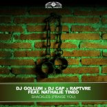 DJ Gollum & DJ Cap, RAPTVRE Feat. Nathalie Tineo - Praise You