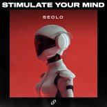 Seolo - Stimulate Your Mind