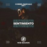 Cornel Dascalu & Ak7 - Sentimiento