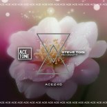 Steve Tosi - No Diggity (Original Mix)