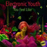 Electronic Youth - You Feel Like (Original Mix)
