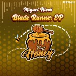 Miguel Nicoli - Broken System (Original Mix)