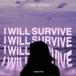 Anika & Yellow Pvnk - I Will Survive