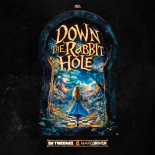 Da Tweekaz & Hard Driver - Down The Rabbit Hole (Extended Mix)
