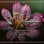 Marco Ossanna - Got to Find