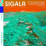 Sigala & Trevor Daniel Feat. 24kGoldn - It's A Feeling (eSQUIRE Remix)