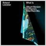 Roland Leesker - What Is (DJ Pierre's Wild Pitch Mix)