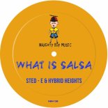 Sted-E & Hybrid Heights - What Is Salsa (Club Mix)
