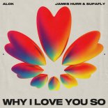 Alok, James Hurr & Supafly - Why I Love You So (Extended Mix)