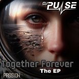 DJ Pulse - Paradise
