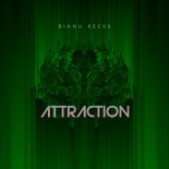 Rianu Keevs - Attraction (Original Mix)