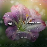 Sandro Puddu - Stand Up