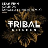 Sean Finn - Calinda (Angelo Ferreri Extended Remix)