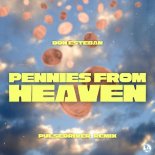 Don Esteban - Pennies From Heaven (Pulsedriver Remix)