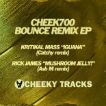 Kritikal Mass & Rick James - Iguana (Catchy Extended Remix)