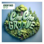 Jeremy Bass - Don't You (Extended VIP Mix)