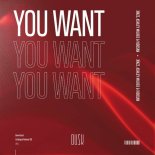 Ashley Milred, Jínzz, Viddsan - You Want (Extended Mix)