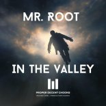 Mr. Root - In The Valley