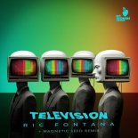 Ric Fontana - Television (Magnetic Seed Remix)
