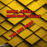 Adam Jesse - Harmony Mills - The Big Drop (Extended)