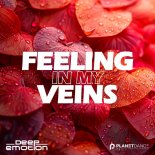 Deep Emotion - Feeling in My Veins
