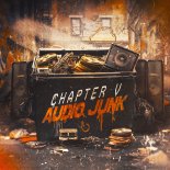 Chapter V - Audio Junk (Original Mix)