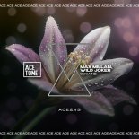 Max Millan, Wild Joker - Cocaine