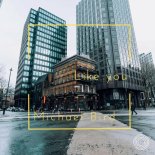 Michael Bird - like you