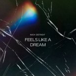 Nick Detroit - Feels Like a Dream