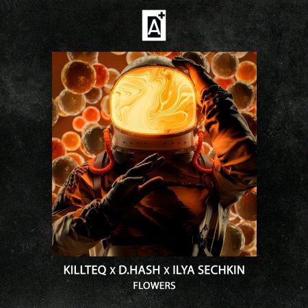 KiLLTEQ, D.HASH, ILYA SECHKIN - Flowers