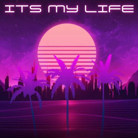 Nick pauls - Its My Life