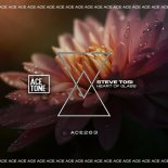 Steve Tosi - Heart of Glass
