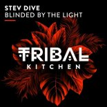Stev Dive - Blinded by the Light (Extended Mix)