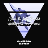 Striz feat. Lula Brooks - I Need A Hero