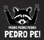 Raffaella Carra x KriZ Van Dee x Adivix - PEDRO 'tik tok hit' (Djhooker Mash-up)