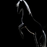 Pink Cat Empire - White Horse (2K24 Mix)
