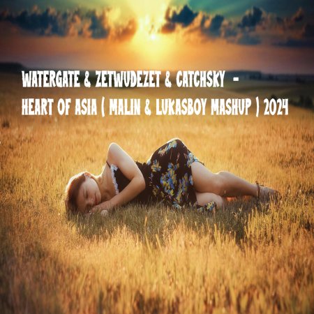 WATERGATE & ZETWUDEZET & CATCHSKY  - HEART OF ASIA ( MALIN & LUKASBOY MASHUP ) 2024
