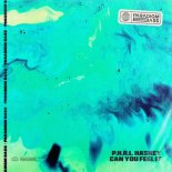 Haskey, P.H.R.L - Can You Feel It (Extended Mix)