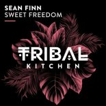 Sean Finn - Sweet Freedom (Extended Mix)