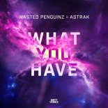 Wasted Penguinz & Astrak - What You Have (Extended Mix)