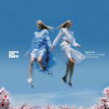 Nora en Pure ft. Robinson - Hyperreal (Middle of the Night) [Extended]
