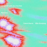 Calvin Harris & Ellie Goulding - Free (Effy Remix)