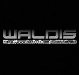 Taimen & Waldis - TIMIDIS! (Original Mix) 2016