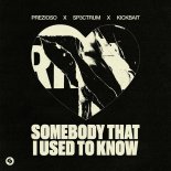 Prezioso & SP3CTRUM Feat. Kickbait - Somebody That I Used To Know