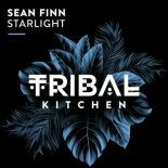 Sean Finn - Starlight (Extended Mix)
