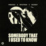 PREZIOSO & SP3CTRUM Feat. Kickbait - Somebody That I Used To Know (Extended Mix)