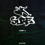 S.U.R.E. - MEET U