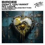 Birdee - Dont You Want My Love (The Coney Island Rhythm Band Extended Remix)