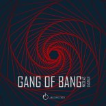 Nicolas Lacaille - Gang of Bang
